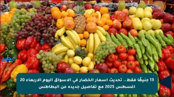 13 جنيهًا فقط.. تحديث أسعار الخضار في الأسواق اليوم الأربعاء 20 أغسطس 2025 مع تفاصيل جديدة عن البطاطس